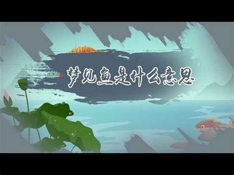 夢見撈魚|夢見撈魚周公解夢